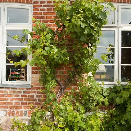 Altes Schulhaus Ferienwohnung Klassenzimmer Lejlighed Putbus